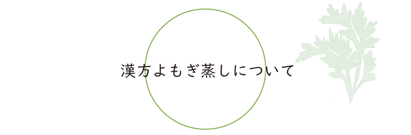 漢方よもぎ蒸しについて